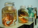 Jars