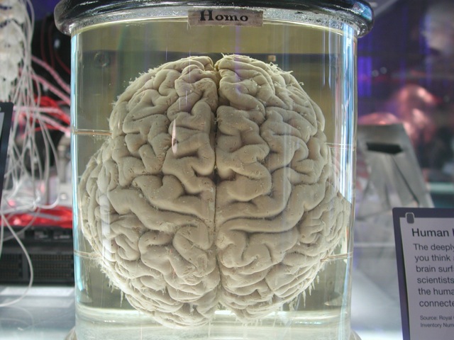 Science Museum