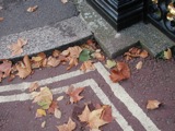 Leaves