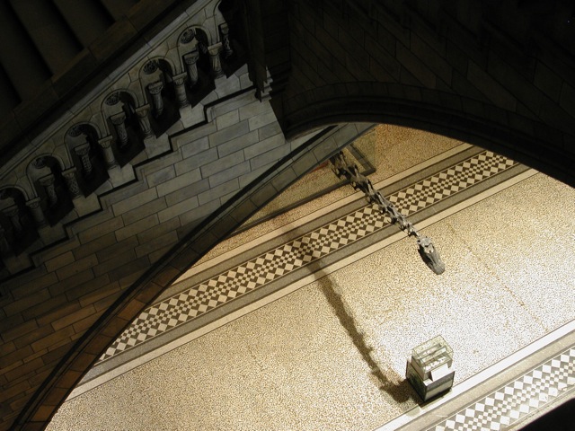Natural History Museum