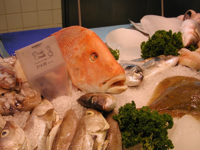 2004