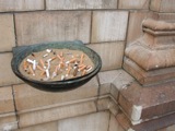 Cigarettes