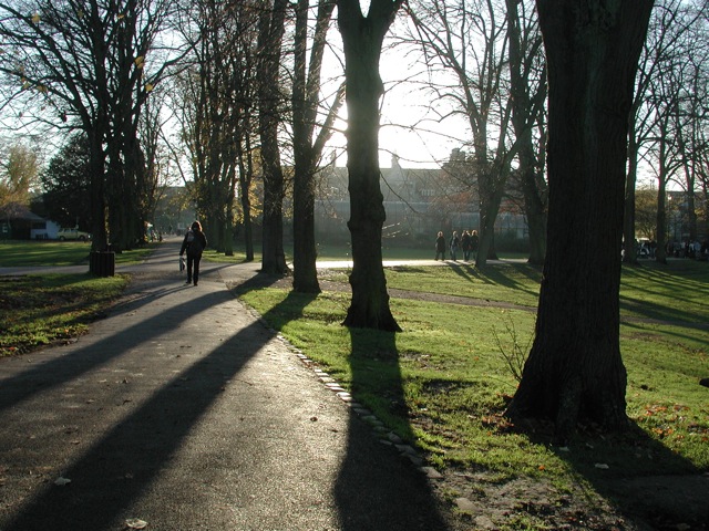 Trees