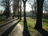 Trees