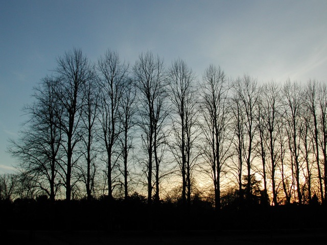 England