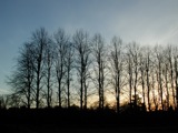 England