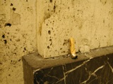 Cigarettes