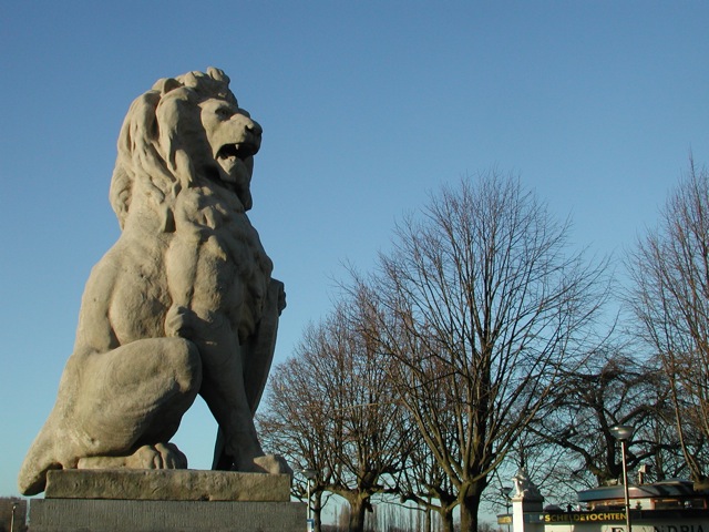 Lions