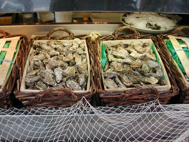 Oysters