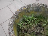 Lawns