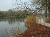Bromley