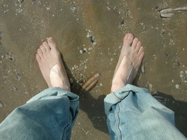Coastline