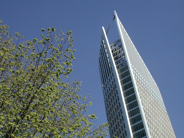 Trees
