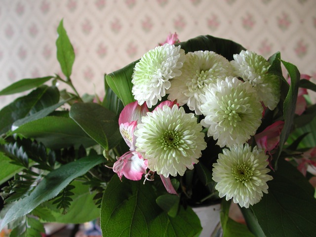May