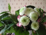 May