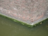 Delft