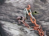 Rust