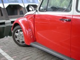 Beetle