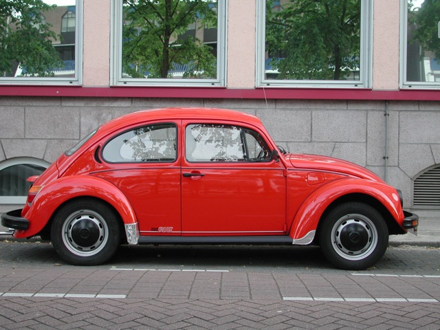 Beetle