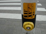 Gouda