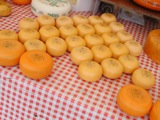 Cheese