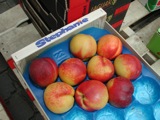Peaches