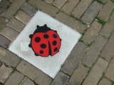 Insects