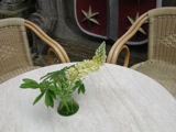 Tables