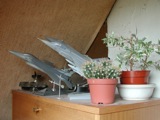 Airplanes