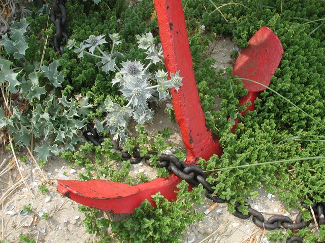 Anchors