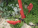 Anchors