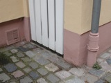Worms