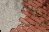 Philadelphia