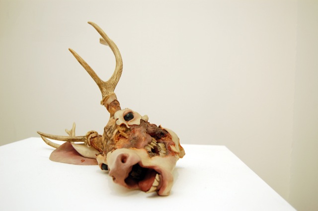 Skulls