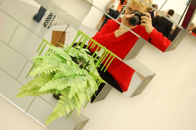 Ferns