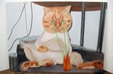Lasers