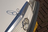 Hood Ornaments