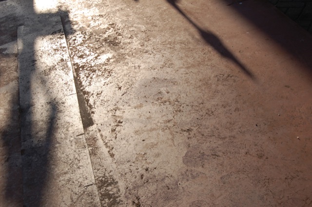 Shadows