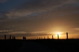 Silhouette
