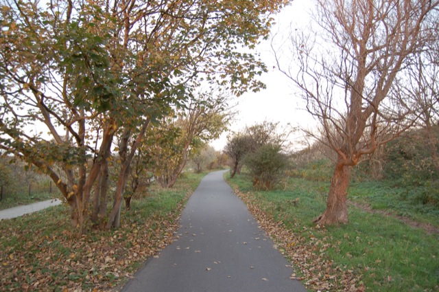 Kijkduin
