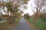 Kijkduin
