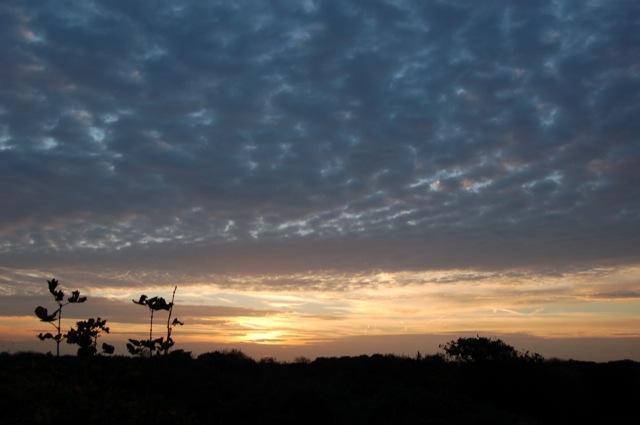 Kijkduin