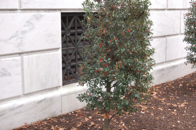 Tomb of the Unknown Soldier