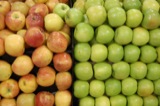 Grocery Stores