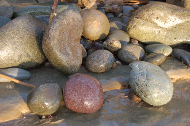 Coastline