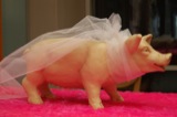 Pork Skunk 2006
