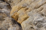 Stone