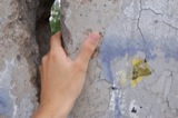 Hands