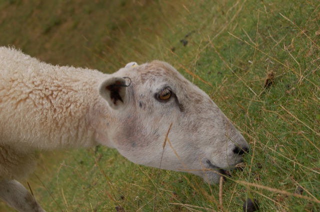 Avebury