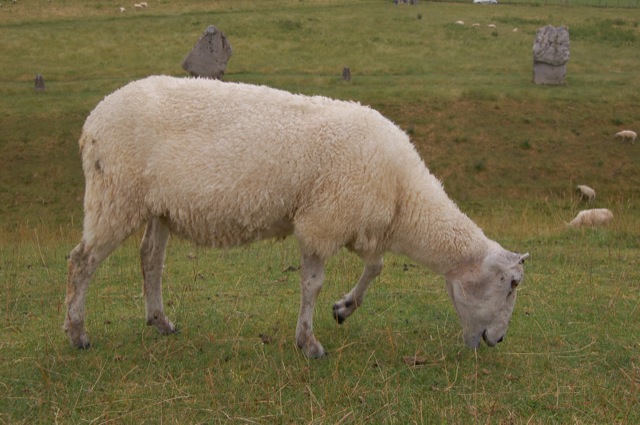 Wiltshire